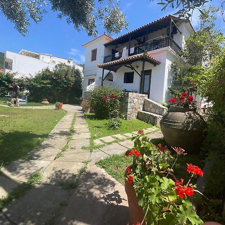 Eleni Del Sol Lejlighed Skopelos Eksteriør billede